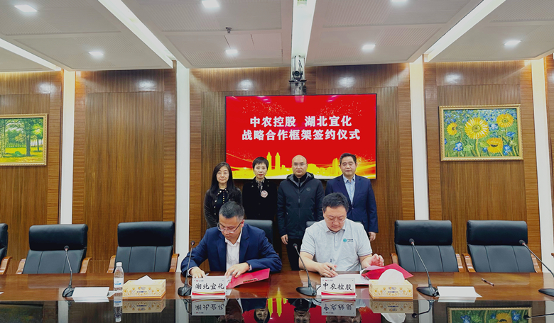 微信图片（文内）